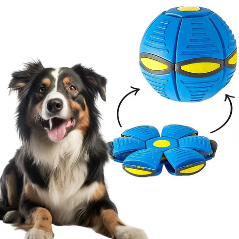 PELOTA SALTARINA® Diversión para tu mascota