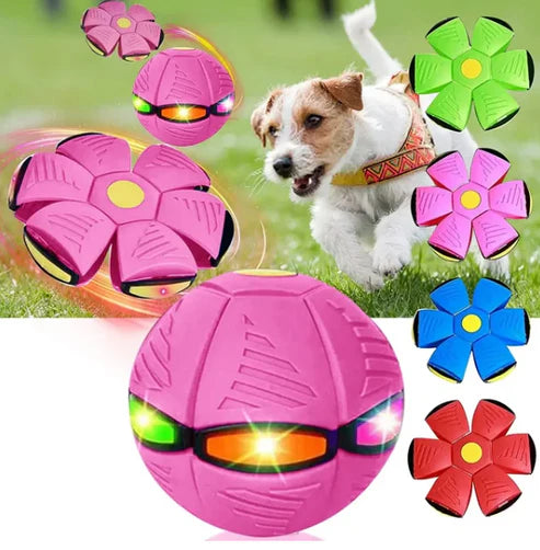 PELOTA SALTARINA® Diversión para tu mascota