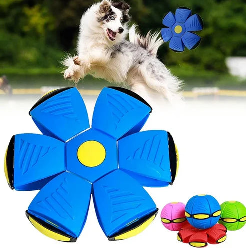 PELOTA SALTARINA® Diversión para tu mascota